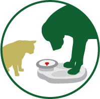 Media from Pet Health Technology Ecosystem Research