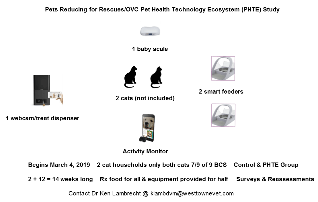 Media from Pet Health Technology Ecosystem Research