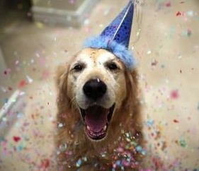 Media from Daisy Lane Veterinary Clinic -   -  Customized Wellness