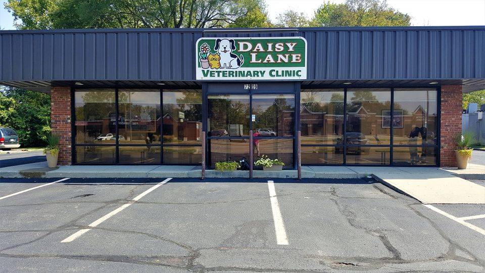 Media from Daisy Lane Veterinary Clinic -   -   Hospital